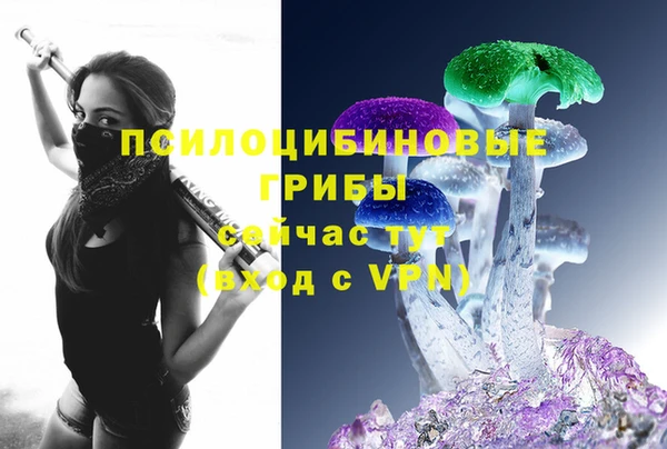 mdpv Богородицк